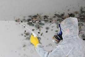 Best Attic Mold Removal  in Kerens, TX